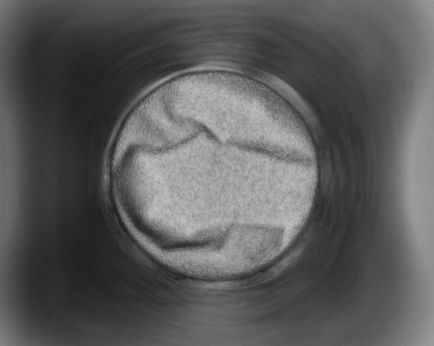 X0000087561292200705251753
