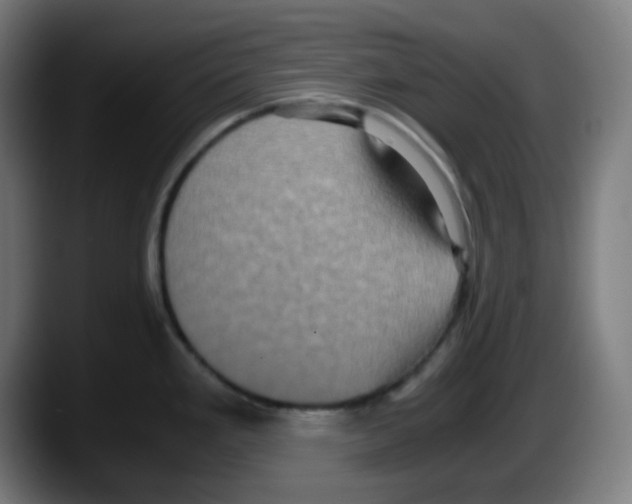 X0000087561293200705251753