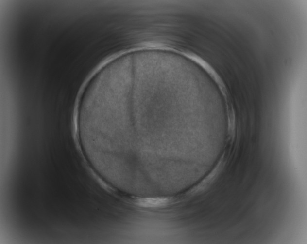 X0000087561294200705251752