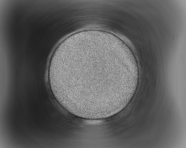 X0000087561296200705251752