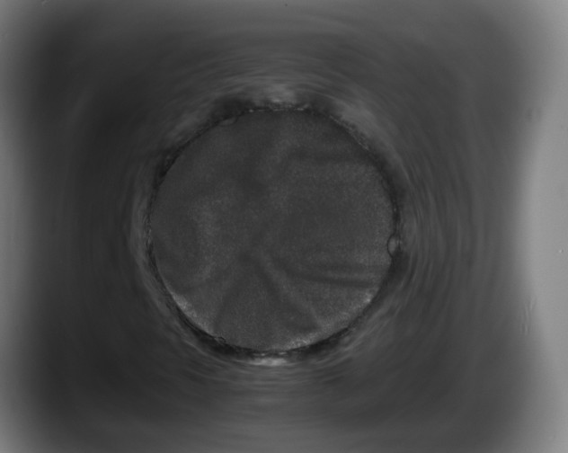 X0000087561297200705251752