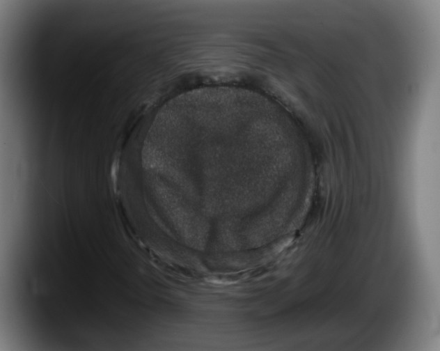 X0000087561298200705251752