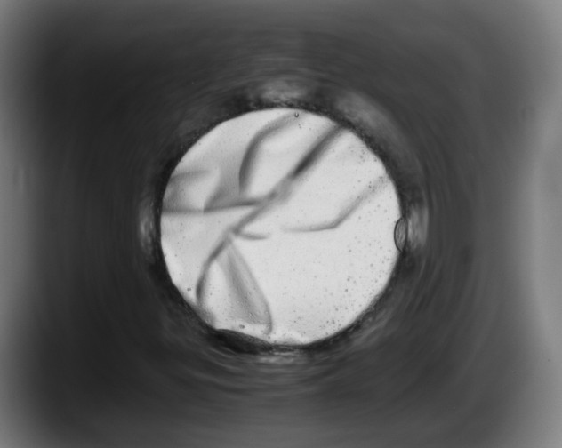 X0000087561299200705251752