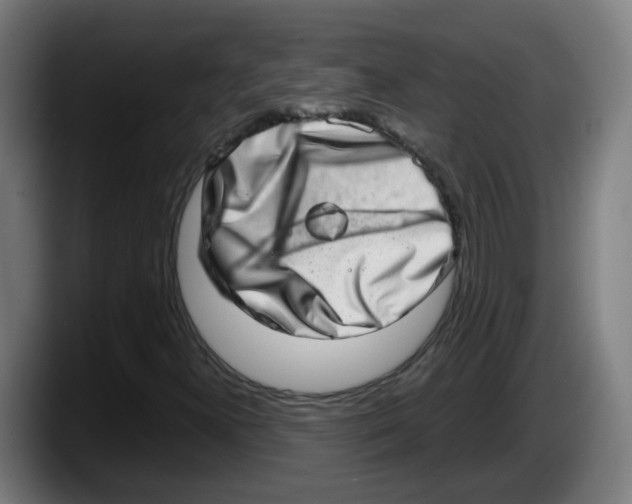 X0000087561300200705251752