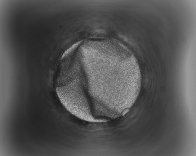 X0000087561301200705251752