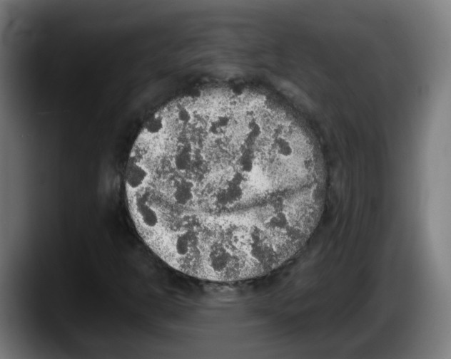 X0000087561302200705251752
