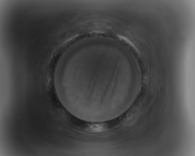 X0000087561303200705251752