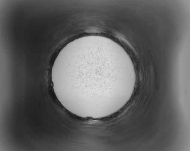 X0000087561304200705251752