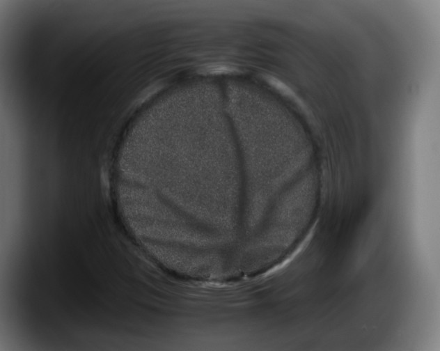 X0000087561305200705251752
