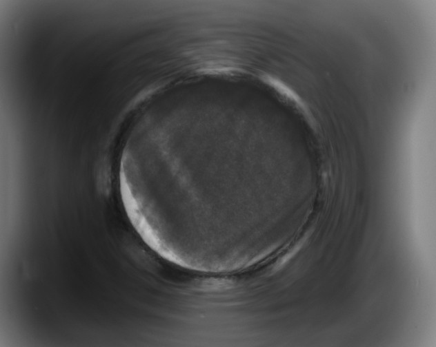 X0000087561306200705251752