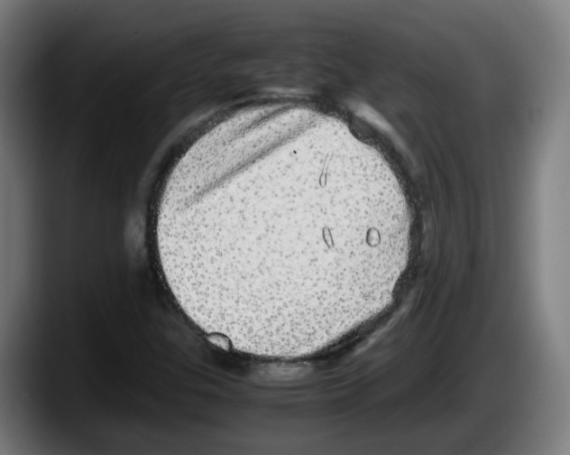X0000087561307200705251752