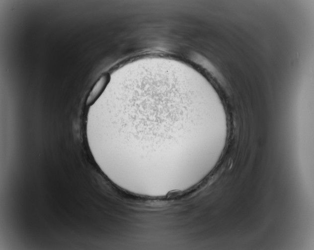 X0000087561308200705251752