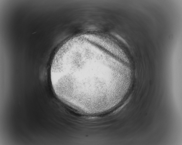 X0000087561309200705251752