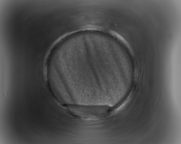 X0000087561310200705251752