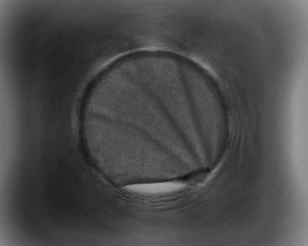 X0000087561311200705251752