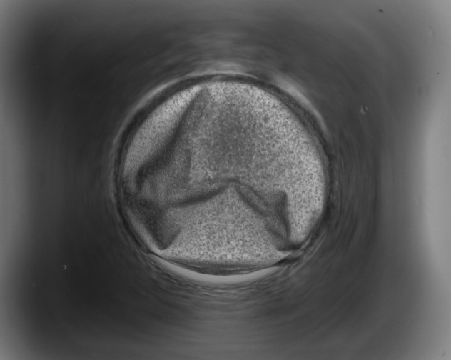 X0000087561312200705251752