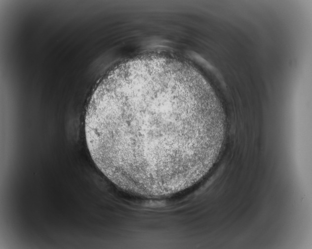 X0000087561313200705251752