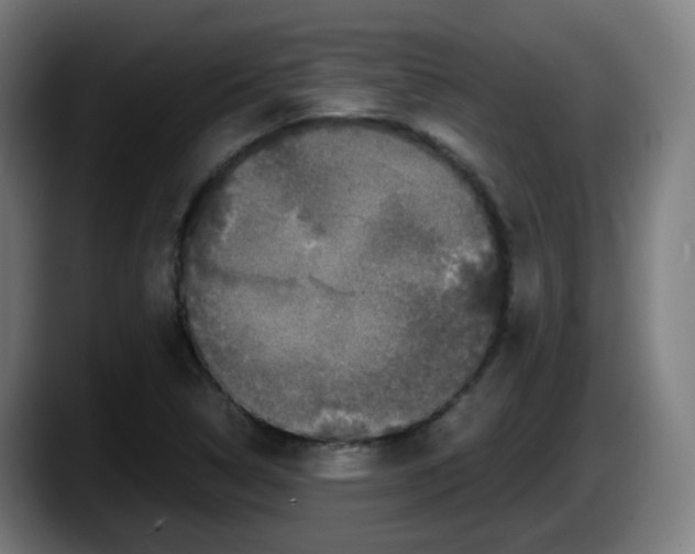 X0000087561314200705251752