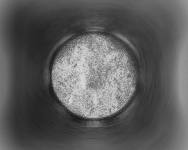X0000087561317200705251752