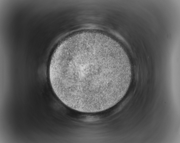 X0000087561318200705251752