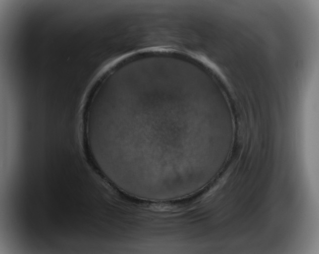 X0000087561319200705251752