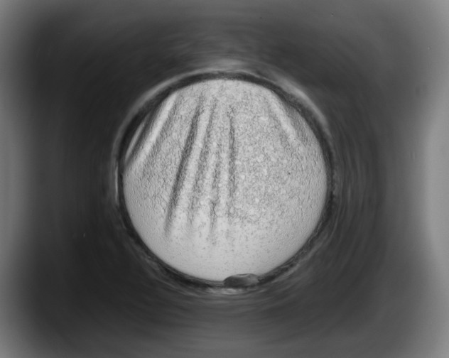 X0000087561320200705251752