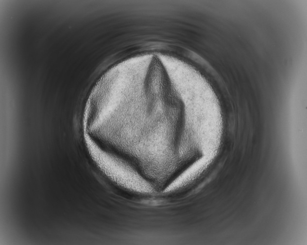 X0000087561321200705251752