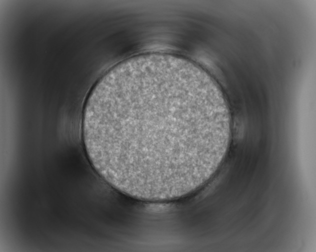 X0000087561322200705251752