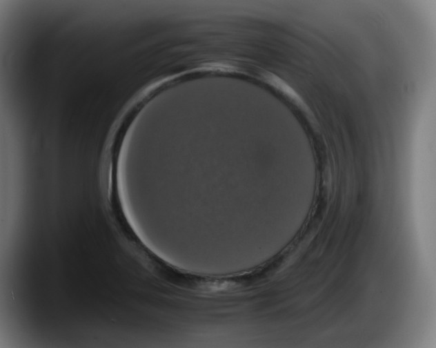 X0000087561323200705251752