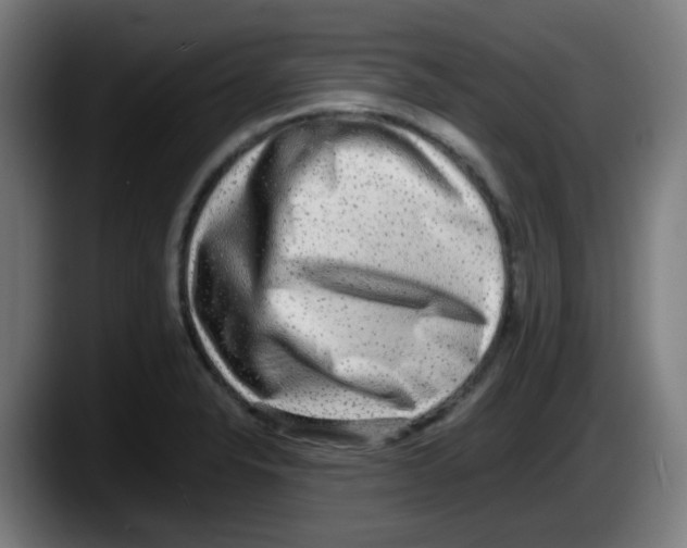X0000087561326200705251752
