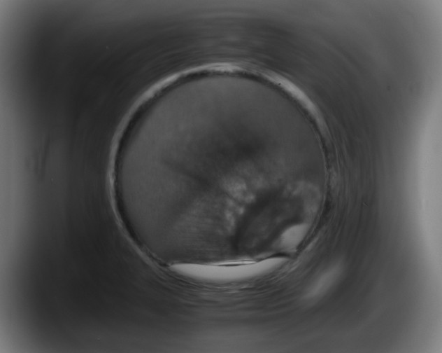 X0000087561327200705251752