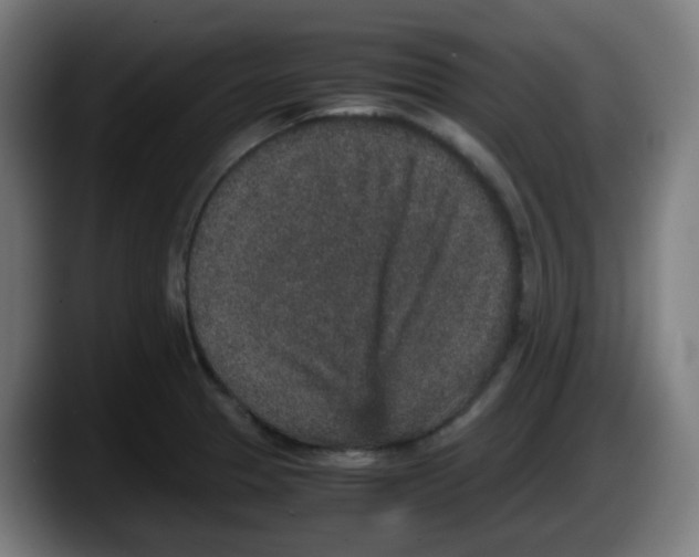 X0000087561329200705251752
