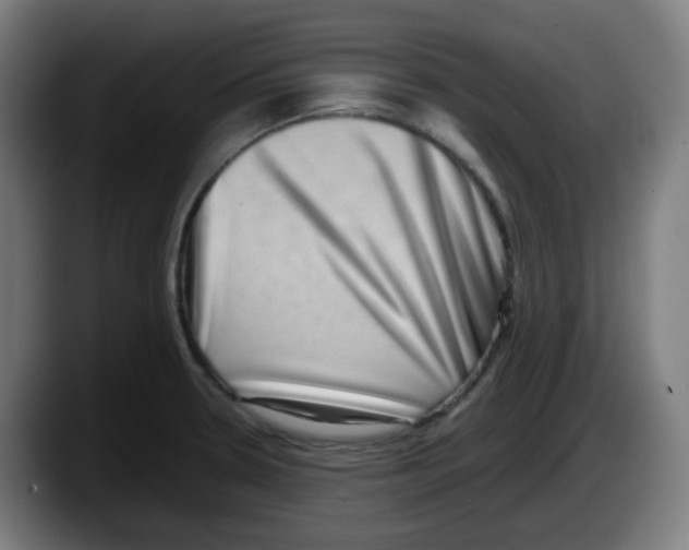 X0000087561330200705251752