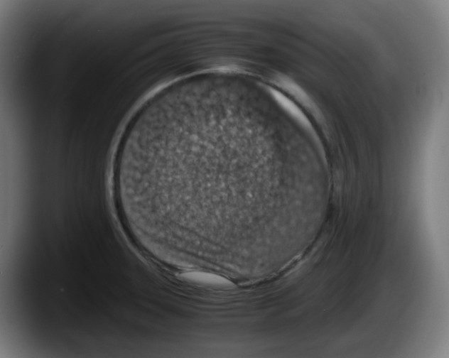 X0000087561331200705251752