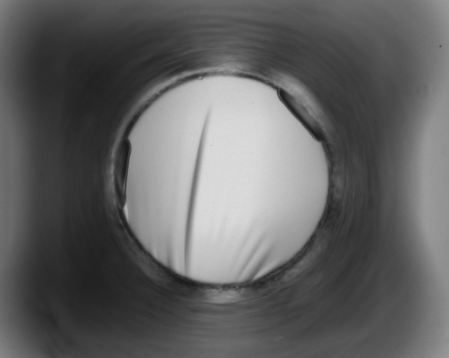 X0000087561332200705251752