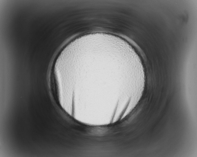 X0000087561333200705251752