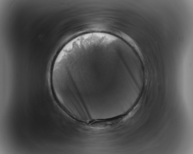 X0000087561334200705251752