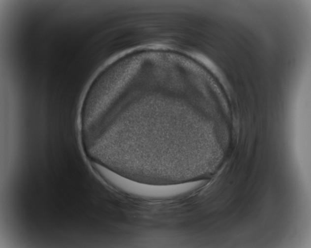 X0000087561335200705251752