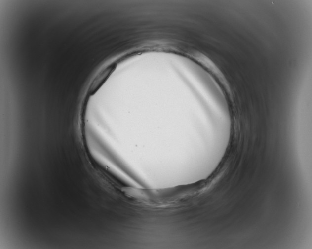 X0000087561336200705251752