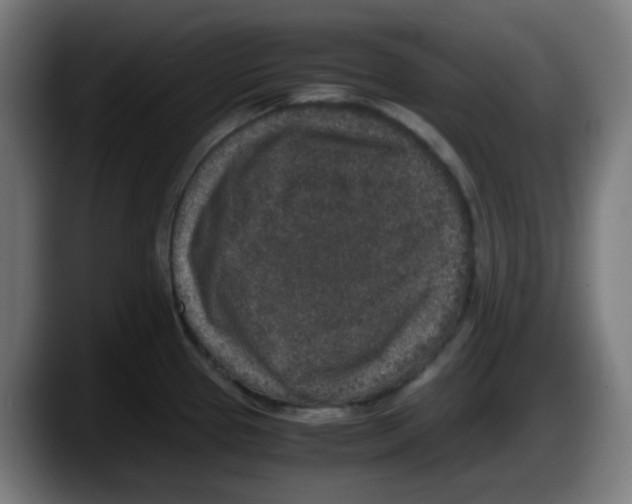 X0000087561337200705251752