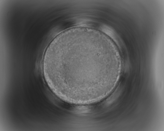 X0000087561338200705251752