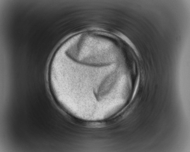 X0000087561339200705251752
