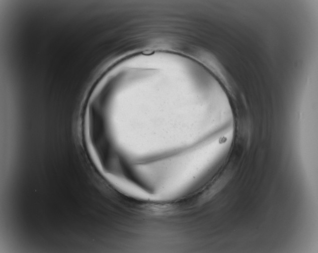 X0000087561340200705251752