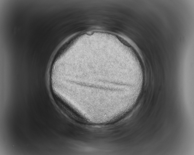 X0000087561341200705251752