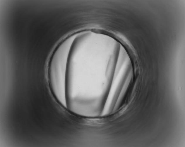 X0000087561342200705251752