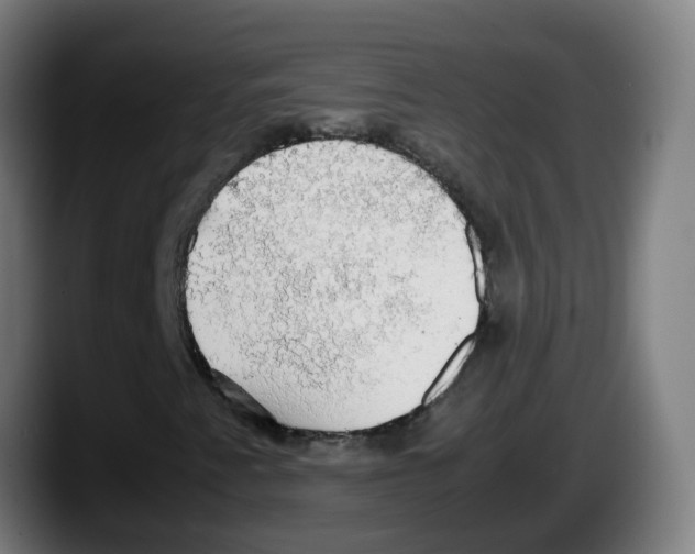 X0000087561345200705251752