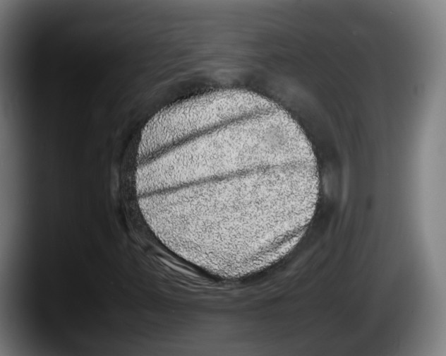 X0000087561347200705251752