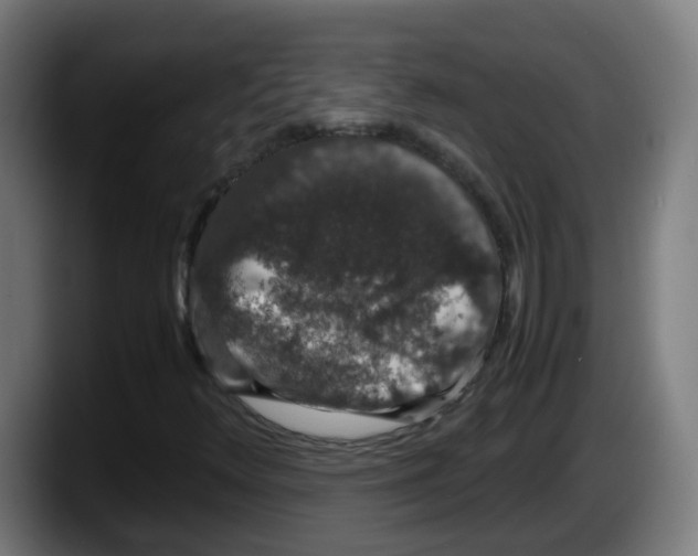 X0000087561348200705251752
