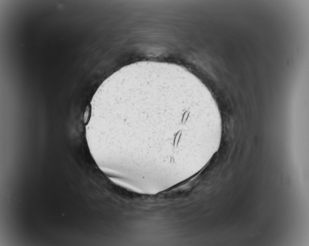 X0000087561349200705251752
