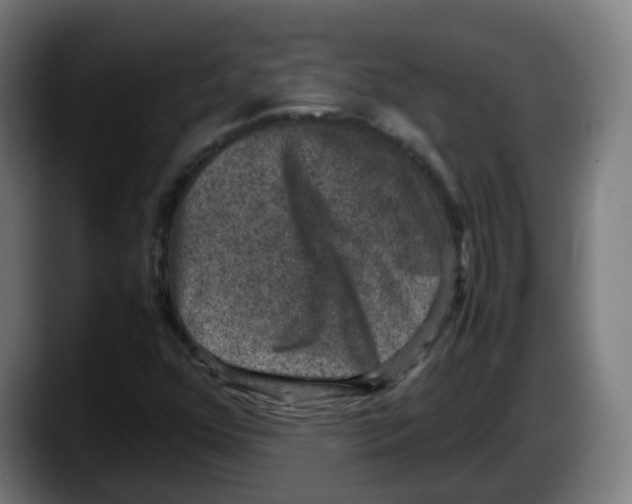 X0000087561352200705251752